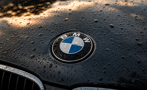 bmw logo regen