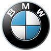 bmw logo 100